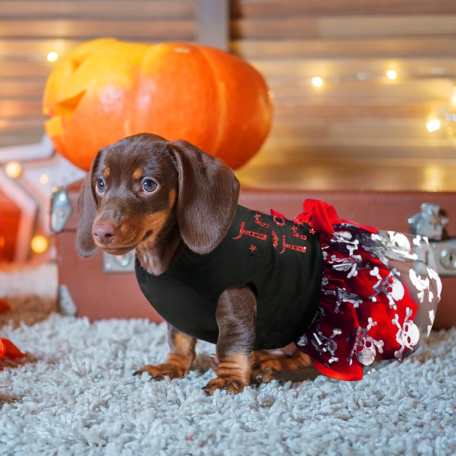 Dog Halloween Costumes, Dog Halloween Dress Skeleton, Holiday Skirt Cute Costume Funny Print Pet Apparel Cat Outfits - Image 6