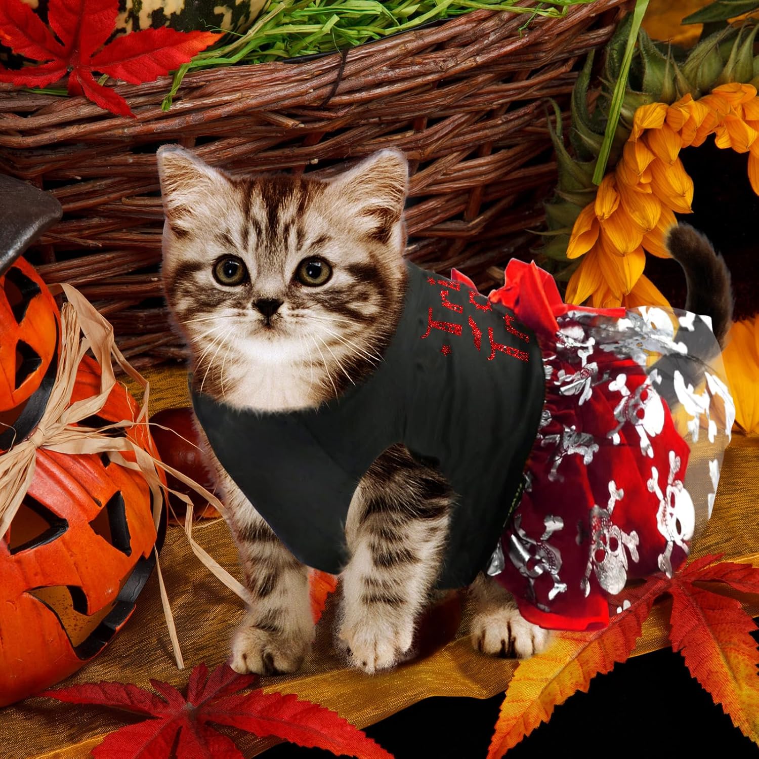 Dog Halloween Costumes, Dog Halloween Dress Skeleton, Holiday Skirt Cute Costume Funny Print Pet Apparel Cat Outfits - Image 7